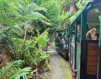 探秘新西蘭科羅曼德爾｜Driving Creek Railway