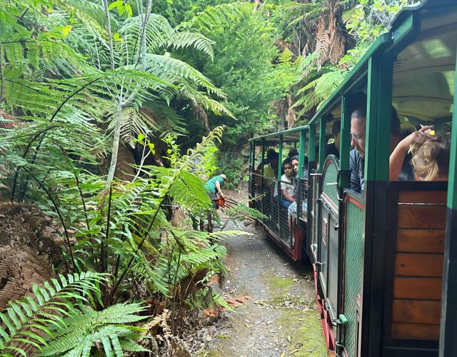 探秘新西蘭科羅曼德爾｜Driving Creek Railway