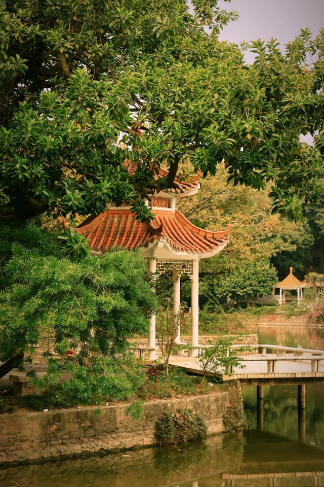 廣東省東莞市東莞人民公園