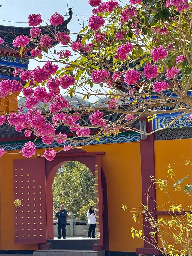 在廣東！！我唯一想去無數次的超大免費寺廟！！