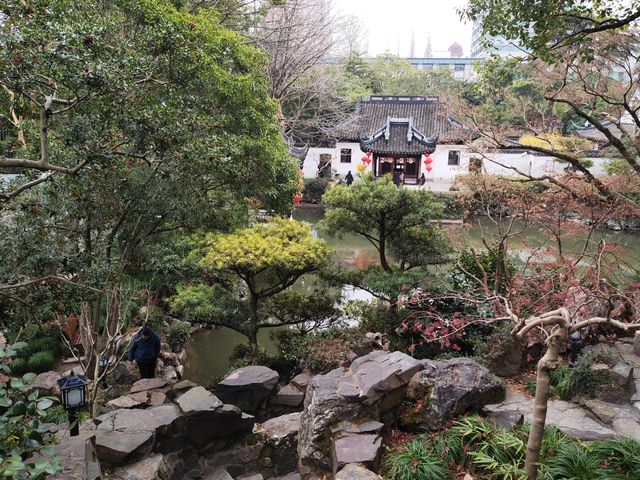 冬天的曲水園 冬天的曲水園