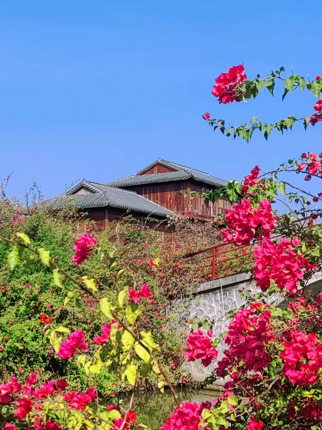 陵水南灣花鎮