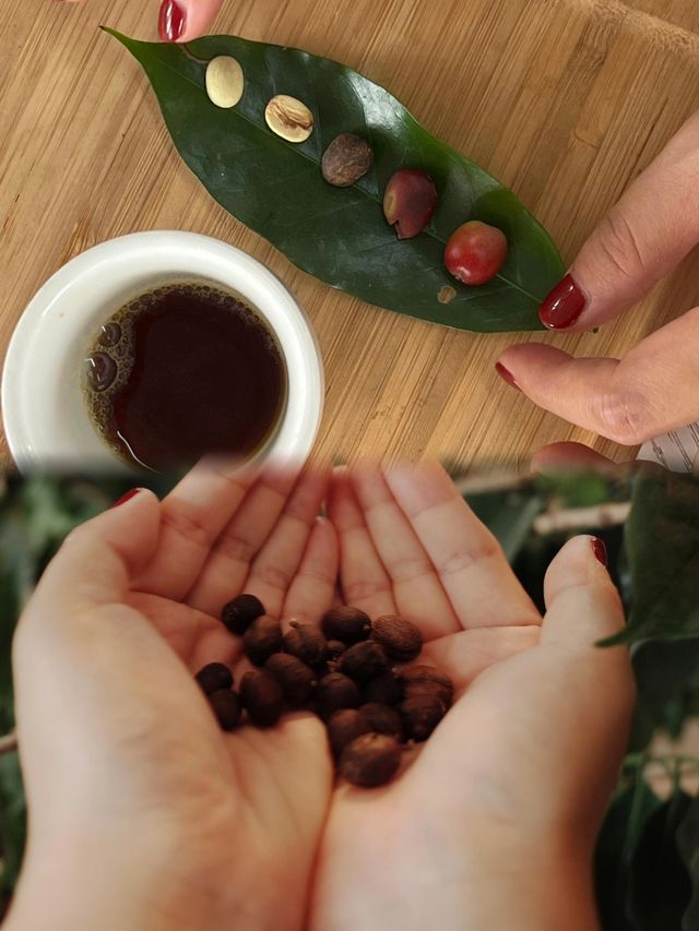 雲南普洱，願望清單上不可錯過的寶藏地