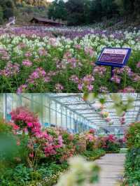 英山帶你邂逅小眾寶藏地