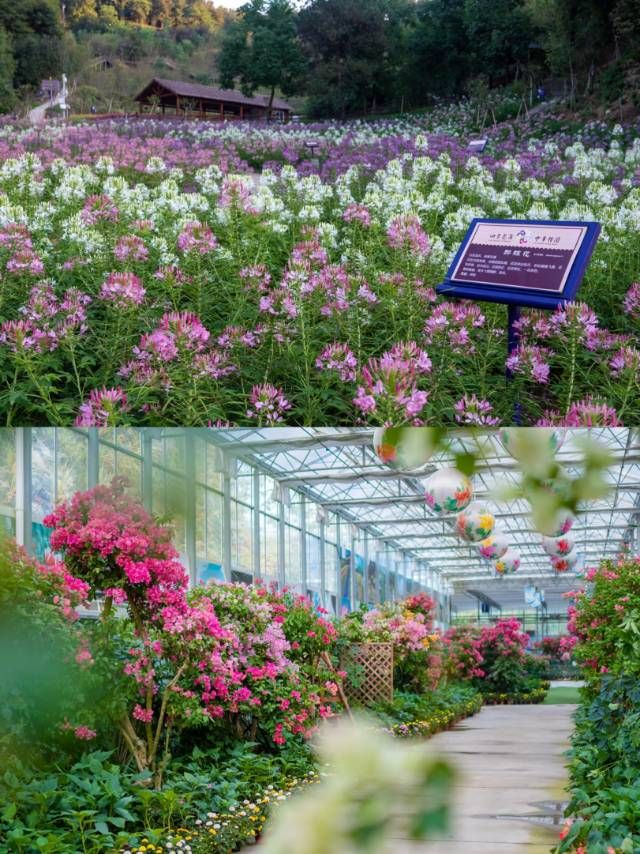 英山帶你邂逅小眾寶藏地