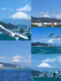 日本三島市：隱匿喺山海間嘅小眾寶藏