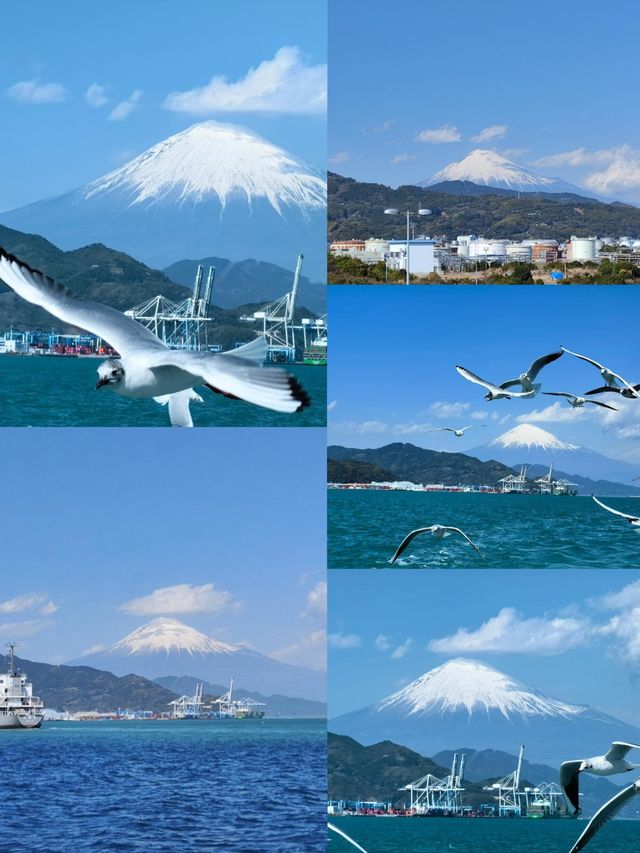 日本三島市：隱匿喺山海間嘅小眾寶藏