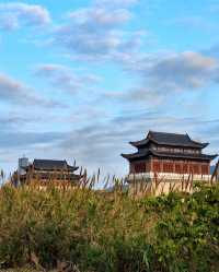珠海寶藏冷門地 | 二井灣濕地公園美翻啦