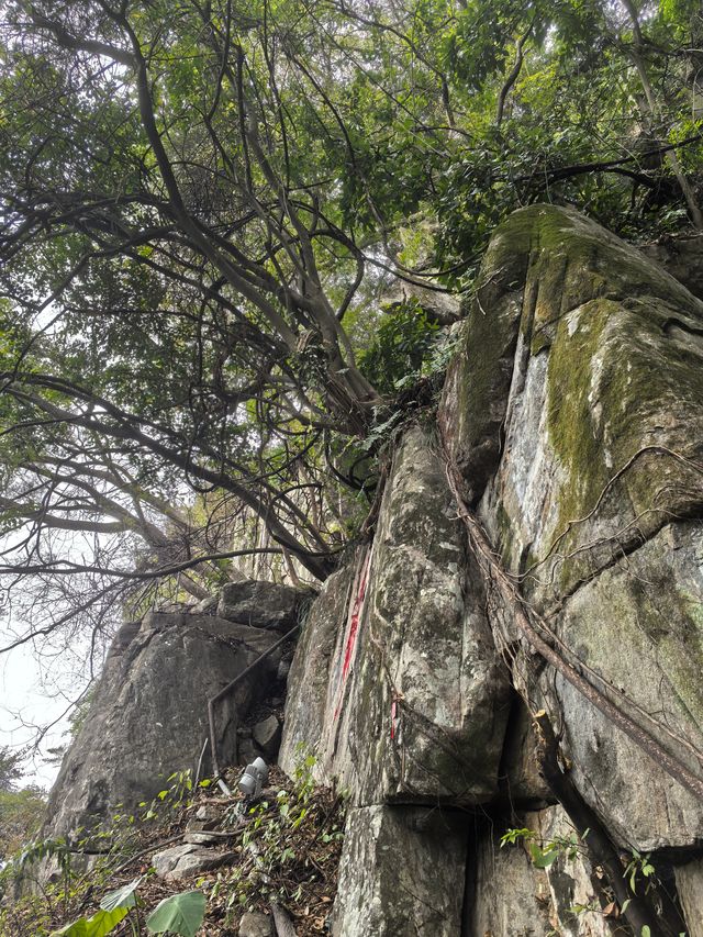 春來尋夢石竹山