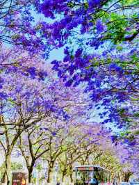 Kunming Attractions 