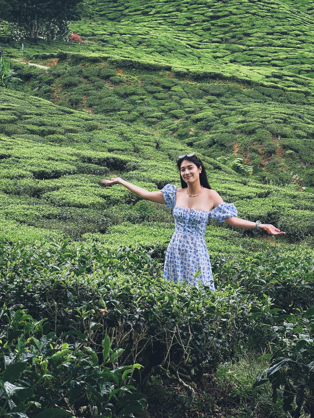 48 Hours in Cameron Highlands 🇲🇾 