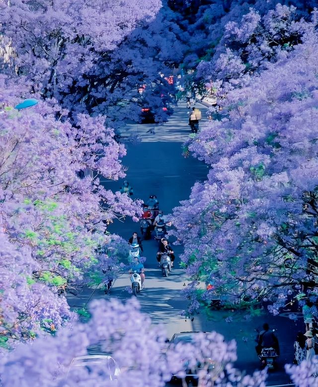 接下來的西昌是一萬次的春和景明