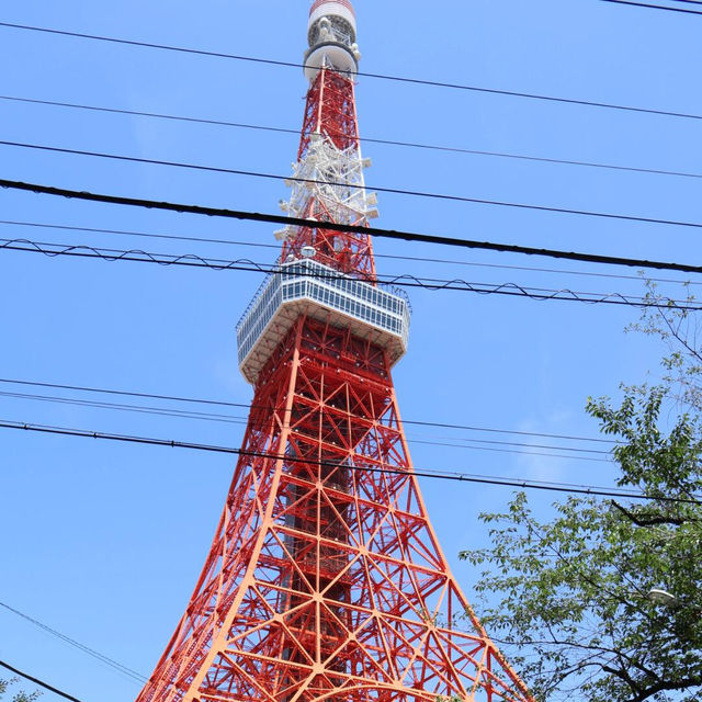 日本行| 拍了張封神照片📸 晴空下的東京塔