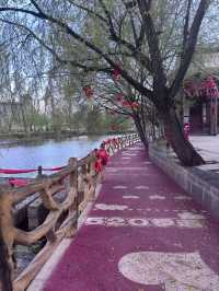 會澤文旅小鎮：春日旅拍。