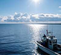 聖地牙哥 San Clemente Island 海釣必玩攻略