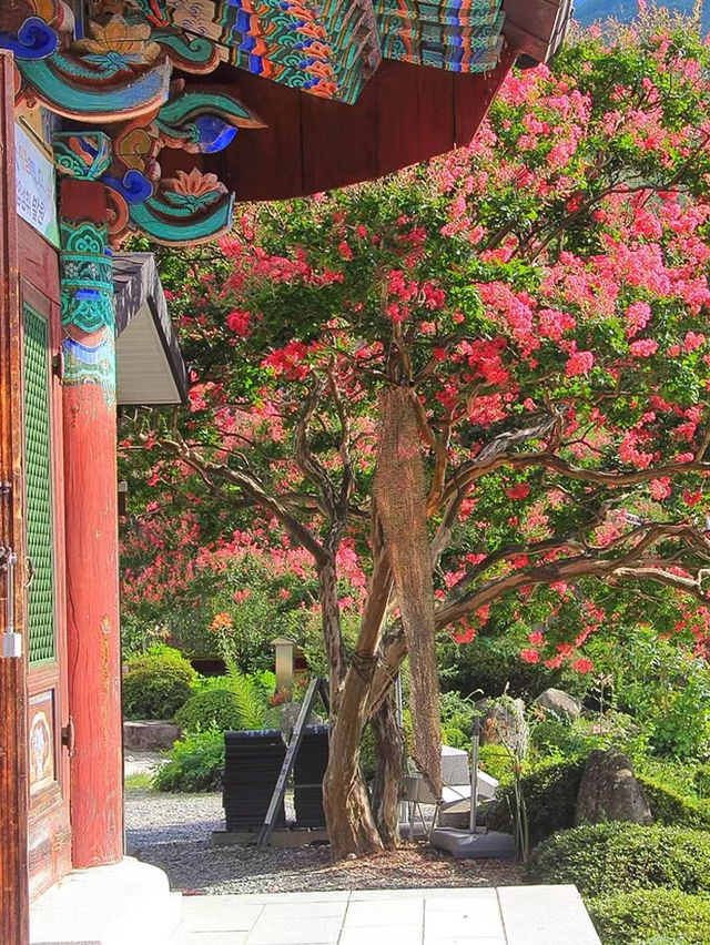 各位快来看看！我發現了個寶藏城市——韓國光陽市！