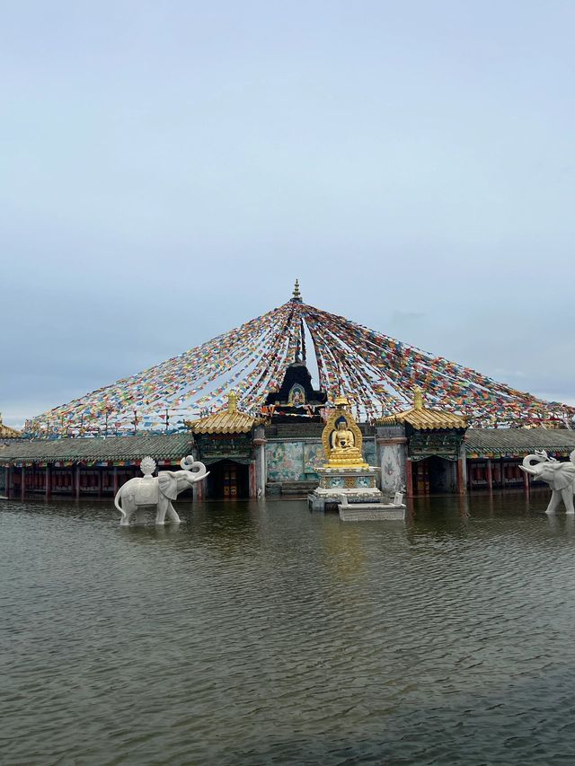 青海西寧-青海湖7日遊｜超詳細攻略 讓你玩轉大美青海