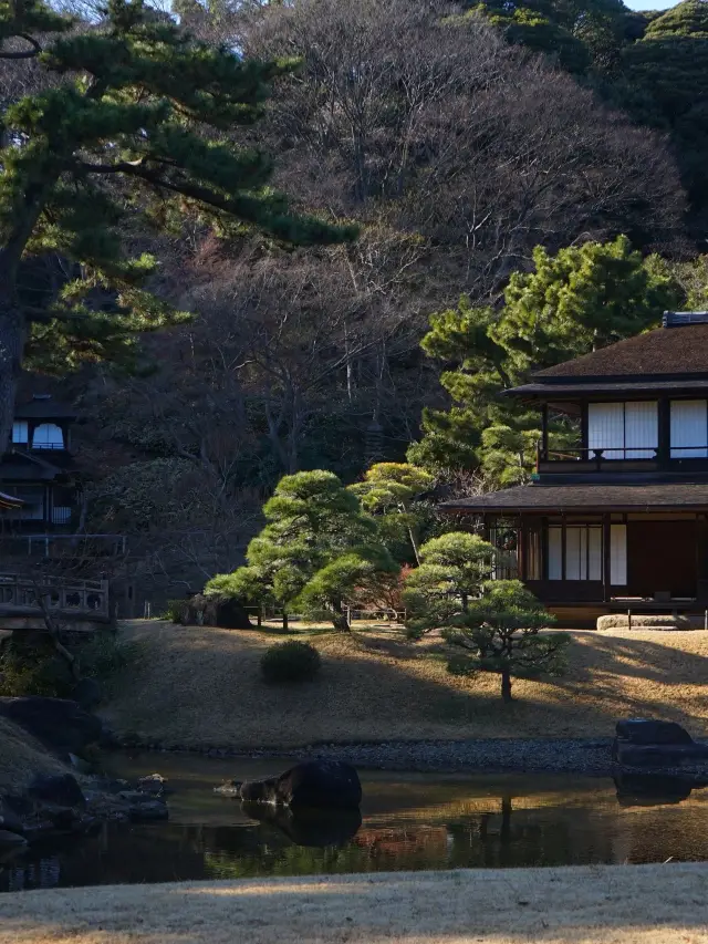 เที่ยวญี่ปุ่น 5 วัน ครบทุกอย่าง อ่านเลย