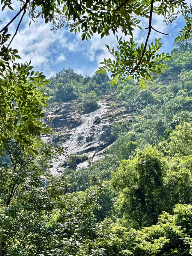 秘境中的詩意棲息