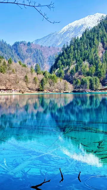 被宰已成定局…到底哪個月份去才合適啊