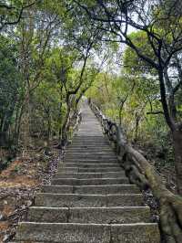 挑戰深圳梧桐山去爬山看這篇就夠了