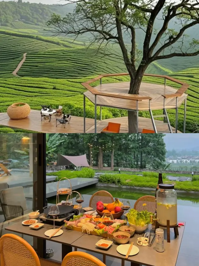 A Secluded Tea Mountain Retreat Near Qingyuan: Step into a Summer Painting