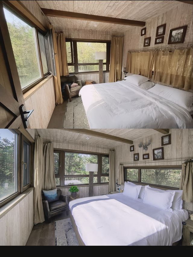 誤入童話秘境 齊雲山自由家·樹屋世界