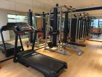 捕捉春日的第一場盛開，每一瓣都是光影的詩