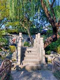 蘇州嚴家花園丨隱藏在古鎮裡的江南園林