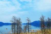 寶藏旅遊地推薦——浙江餘姚四明山