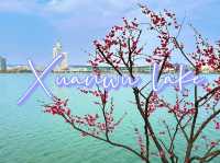 ทะเลสาบซวนอู่ เมืองหนานจิง
