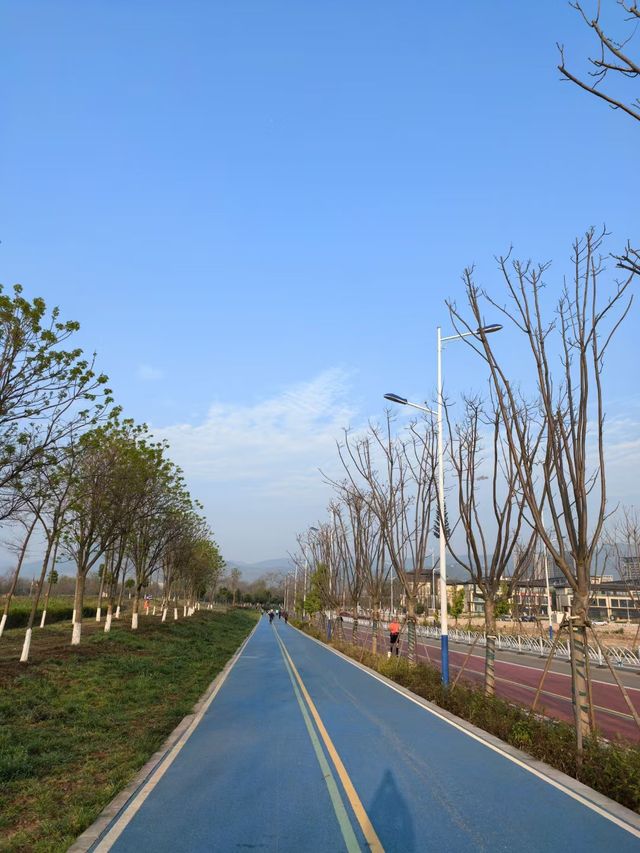 昆明滇池綠道：徒步與觀景的完美結合