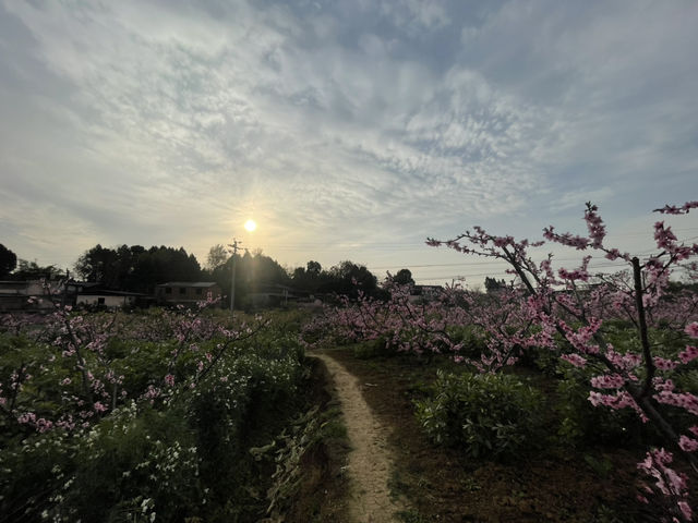 Day Trip to Chengdu