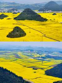 羅平賞油菜花‖打卡避坑攻略