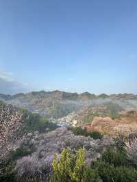 黃山3日遊 玩轉全景不走冤枉路
