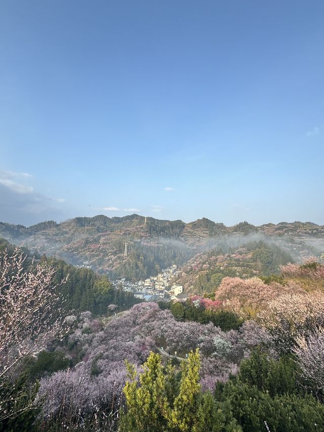 黃山3日遊 玩轉全景不走冤枉路