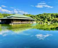 這裏是連日本當地人都鮮為人知的賞櫻秘境，它就藏在堺市大仙公園！