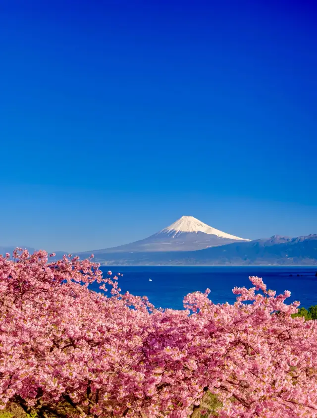 시즈오카/3박 4일 핵심 여행 가이드