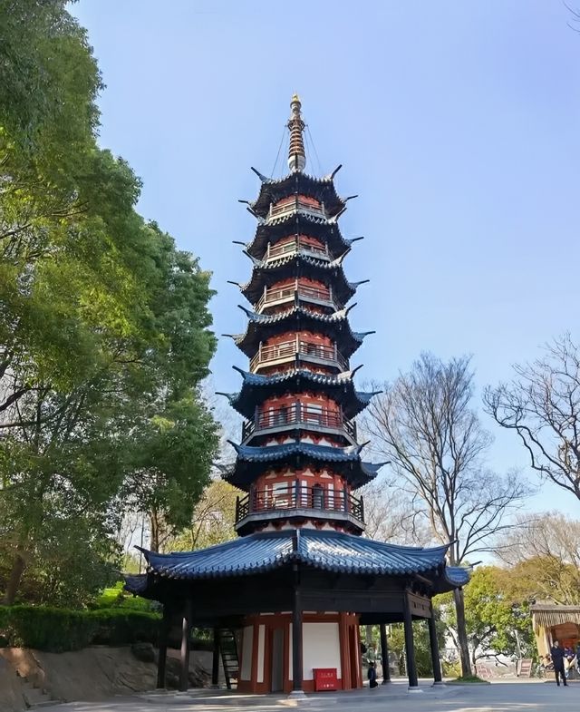 2024春日漫遊指南：上海佘山國家森林公園「山林花海」