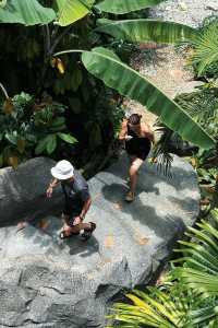 Discover Asia's First Rainforest Adventure Zoo in Singapore!