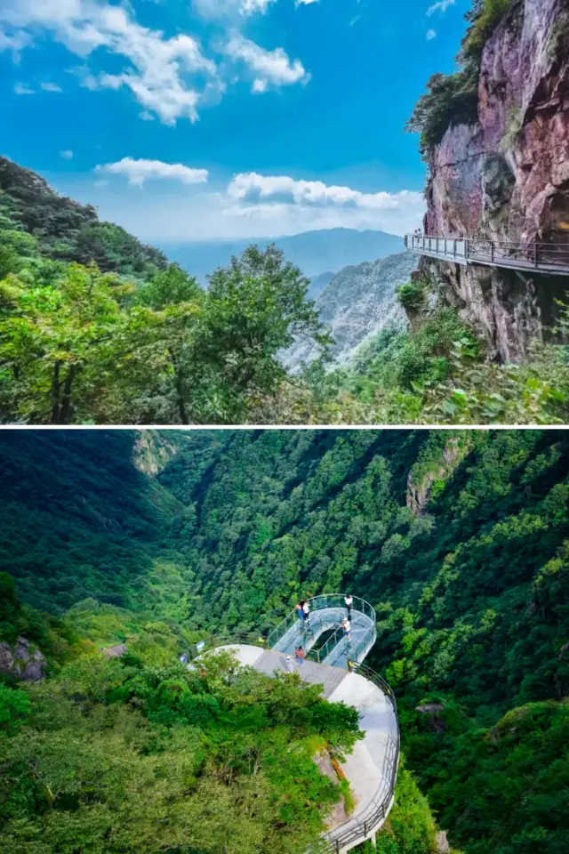 Cloud Mountain Grassland Adventure | Accommodation × Activities × Bamboo Shoot Digging Guide