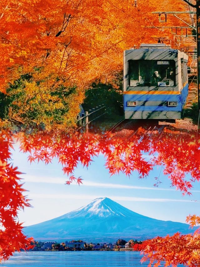 日本櫻花季 | 邂逅一座城的絕美浪漫