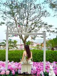🌷珠海新貌 | 治愈系花海棧道，美翻啦🌸