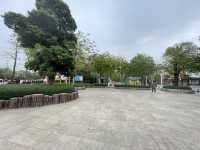 《陽春名樹公園攻略｜城市裡的一口清新氧氣》