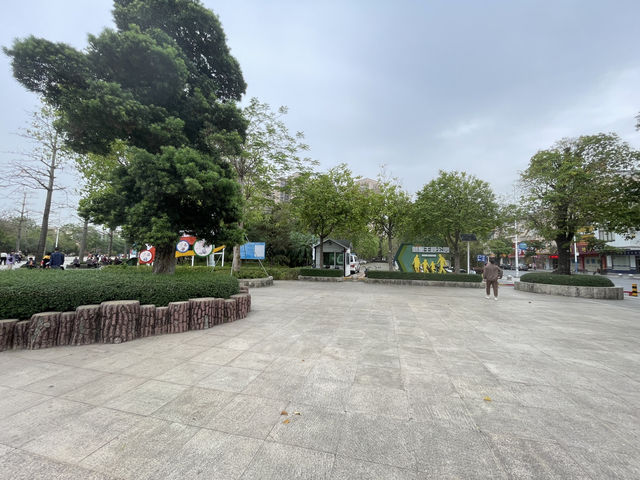 《陽春名樹公園攻略｜城市裡的一口清新氧氣》