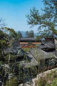 【跟著樂里去探秘】龍塘苗寨春日打卡全攻略
