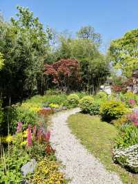 共青森林公園｜自然景觀＆休閒娛樂