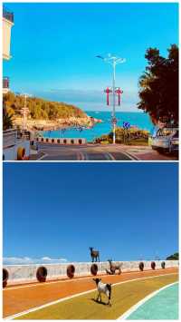 福建莆田·湄洲島旅遊攻略來啦