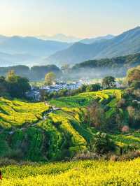 韓劇同款油菜花海|春日婺源超全旅遊攻略