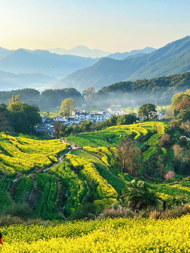 韓劇同款油菜花海|春日婺源超全旅遊攻略